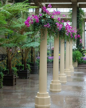 Flower Display 04